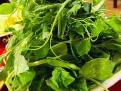 豌豆尖-花水湾红太阳牛肉汤锅
