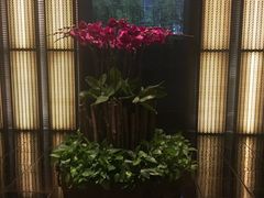 -上海璞麗酒店