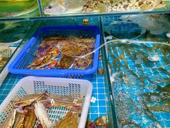 水产区-鲜小岛·铜锅涮肉