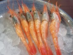 -黑松白鹿(崇文门新活馆店)