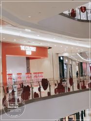 -THE COLORIST调色师