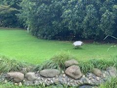 -苏州河梦清园环保主题公园