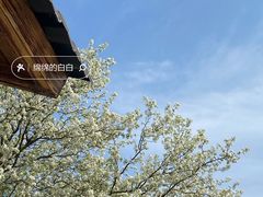 -东钱湖小普陀景区