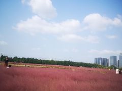 -尚贤河湿地
