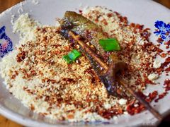 -晓靖轩烧烤(沙河风情店)