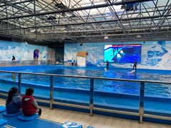 -石林冰雪海洋世界