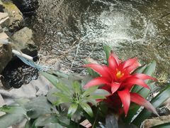 -聚缘堂·海鲜私房菜(松岭路店)