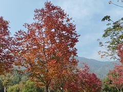 -北京西山国家森林公园