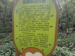 -大岭沟猕猴桃谷风景区