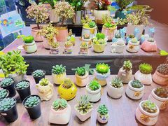 -扶光书店(中环店)