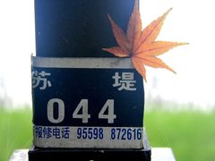 -苏堤停车场