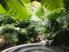 -汇雅温泉