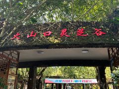 -海口火山口国家地质公园