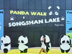 -东莞松山湖万象汇