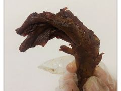 卤鸭掌-周黑鸭(深圳罗湖区东门九龙城店)