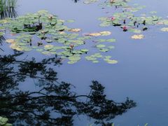 -上海植物园-4号门售票处