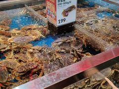 -盒马X会员店(王府井奥莱UP TOWN店)
