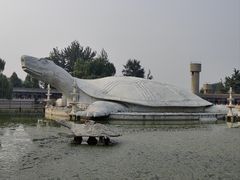 -东方巨龟苑景区