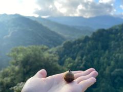 -九龙江国家森林公园