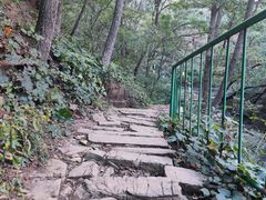 -老象峰