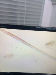 -蕾特恩专业祛痘·皮肤管理