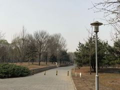 -望湖公园