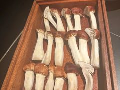 -二刀潮牛(重庆光环购物公园店)