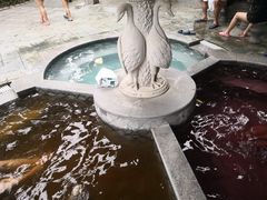 -碧水湾温泉