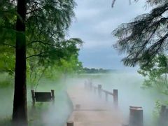 -东湖落雁景区