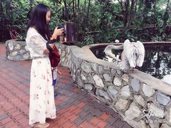-吉隆坡雀鸟公园