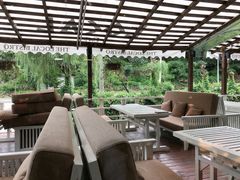 -Local泰莲庭(虹鳟鱼店)