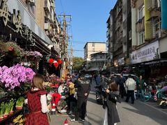 -溪岸路花鸟市场