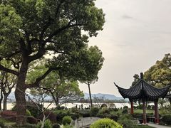 -杭州西湖柳莺里酒店·闻莺厅