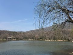 -紫霞湖公园