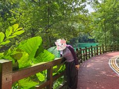 -广州市流溪河国家森林公园