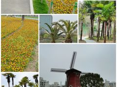 -大宁公园