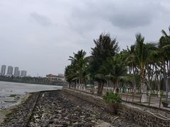 -万绿园