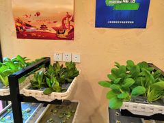 -后宫私房菜(汇客美食娱乐广场店)