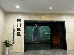 -四川宋瓷博物馆