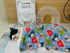 -达爱动物医院·犬猫分区·CT·复杂眼科(远洋山水分院)