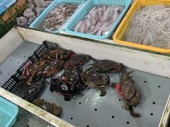 -大湾区中央湿地公园-十九涌