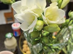 -循礼门鲜花花市(武汉循礼门店)