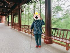 -重庆彩云湖湿地公园