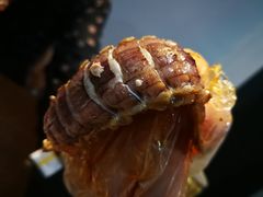 -三妹小龙虾·黄油蟹(华侨城总店)