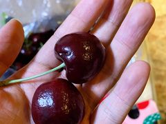 -胡家庙水果批发市场