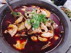 -虎虎龙虾大排档(双井店)