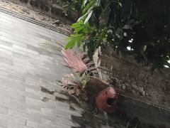 -碧江金楼