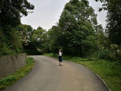 -天花井景区