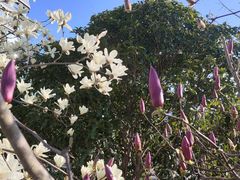 -浦江镇(地铁站)