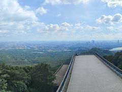 -紫金山山顶公园